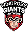 Логотип баскетбольного клуба Antwerp Giants